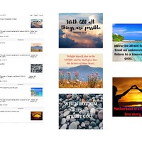 Social Media Management