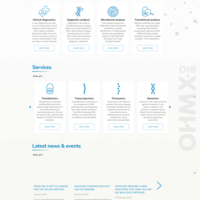 Wordpress