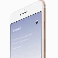 iBlossom: Home Screen