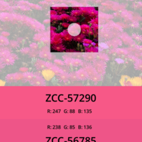 Mobile(iOS), image processing