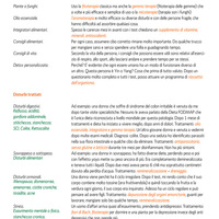 Presentation newsletter