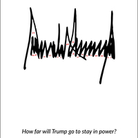 Irish Examiner - Trump