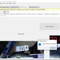 Fish Length Detection System