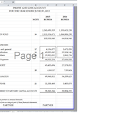 Profit and Loss Account