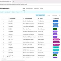 Airtable Operations Tracker for  Beauty Business