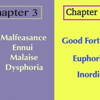 Portfolio Thumbnail 26