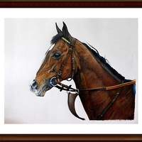 Horse portrait (color pencils)