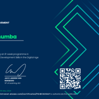 AI Augmented Professional Development Skills