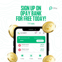 Portfolio Thumbnail 3