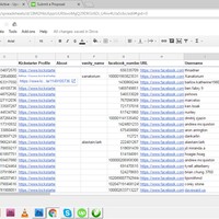 Email Outreach/Lead Generation