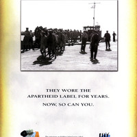 Portfolio Thumbnail 8