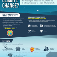 Portfolio Thumbnail 4