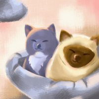 Portfolio Thumbnail 3