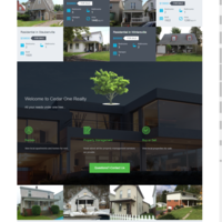Real Estate Listing with MLS integration