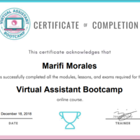 Virtual Assistant Cetificate