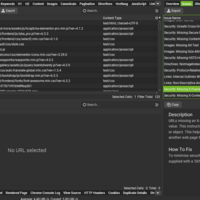 Website Audit