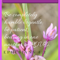 Graphic Design using Canva1