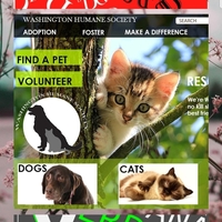 Faux website created by me.