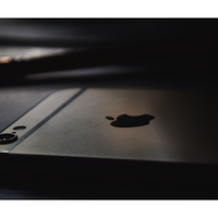 Portfolio Thumbnail 0