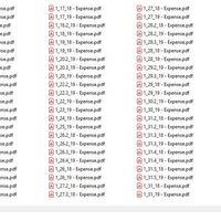 Electronic Receipts saved in PDFs