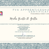 FVA Apprenticeship phase2