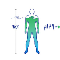 [Drawing] Medical Related 1/6