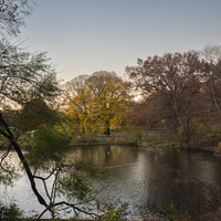 Portfolio Thumbnail 9