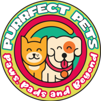 Branding Logo for Pet Shop