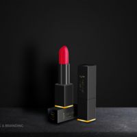 Portfolio Thumbnail 1