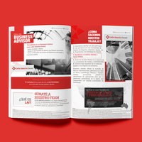 Brochure: Investors company.