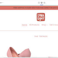 Shopify Management