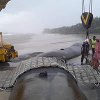 Portfolio Thumbnail 3