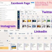 Scheduling & Posting Social Media using Hootsuit