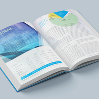 Book/Annual Report Design | Town Government
