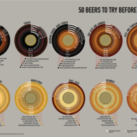 Infographics - 50 Best Beers 