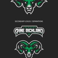 Sports logo
