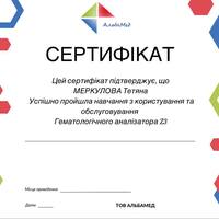 Portfolio Thumbnail 4