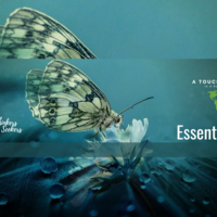 Portfolio Thumbnail 0