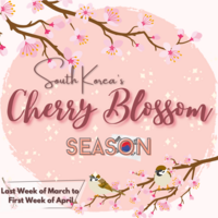 Portfolio Thumbnail 6