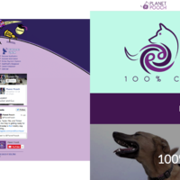 Website overhaul for doggy daycare