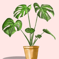 Portfolio Thumbnail 15