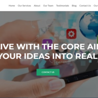 Intricate Web Agency