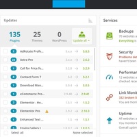 WordPress Backup & Maintenance