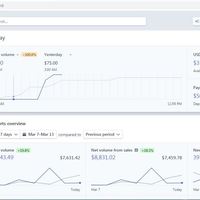 Stripe Transaction Analysis