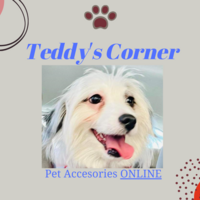 Portfolio Thumbnail 2