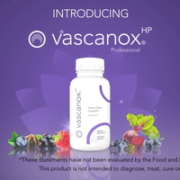 Portfolio Thumbnail 17