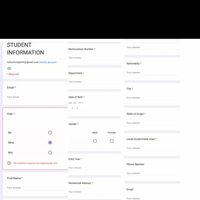 Google Form 