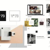 Logo and web V73