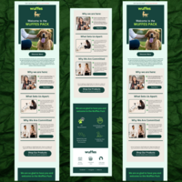 Paws & Wellness: Email Design for Wuffes