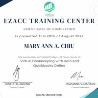Virtual Bookkeeping with Xero and Quickbooks Online